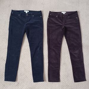 Women's WORKSHOP By Andrea Jovine Stretch Velveteen Jeans (BUNDLE of 2)